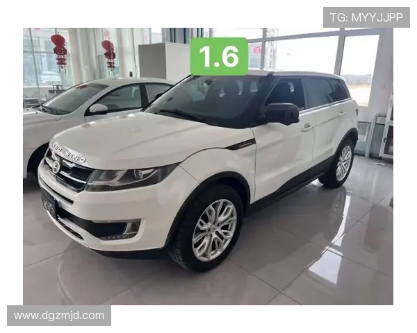 187万路虎新车莫名熄火 车主担心贬值不愿拆解检查