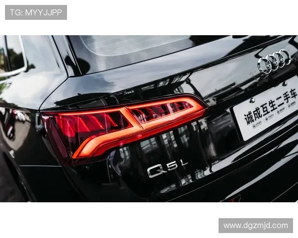 2.0T、四驱,蜂窝格栅,红色卡钳,贯穿式尾灯,全新奥迪Q5L来了!